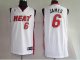 Basketball Jerseys miami heat #6 james white(fans edition)