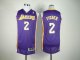 Basketball Jerseys los angeles Lakers #2 fisher purple[revolutio