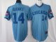 Baseball Jerseys chicago cubs #14 banks m&n blue(white strip) to