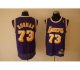 Basketball Jerseys fans lakers #73 rodman purple(fans edition)