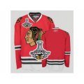 nhl chicago blackhawks blank red [2013 Stanley cup champions]