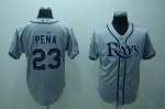 Baseball Jerseys tampa bay rays #23 pena grey(2008 ws patch)