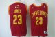 nba cleveland cavaliers #23 james red [revolution 30]